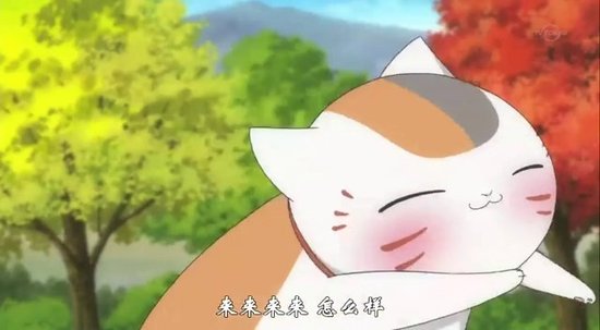 夏目友人帐猫咪变身,夏目友人帐猫咪壁纸,夏目友人帐猫咪动态_大山谷图库