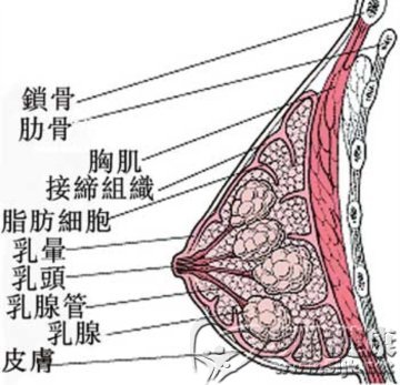 8_2012514190521_1.jpg
