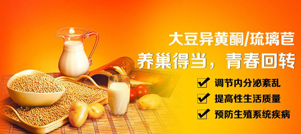 大豆异黄酮哪个牌子好?美国Solgar(Solgar)