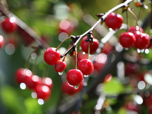 然健环球官网揭秘治疗膝关节炎的民间偏方-然