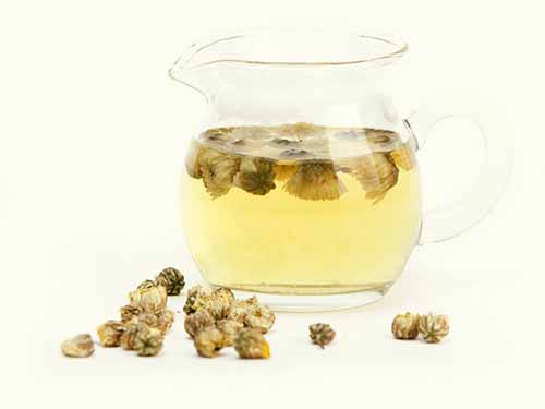菊花茶可以天天喝吗