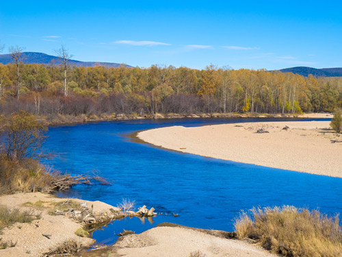 康宝莱草本浓缩速溶茶饮作用