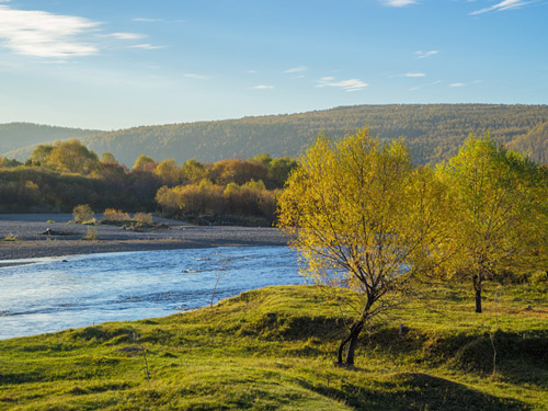usana优莎娜提醒防治肾结石与补钙不矛盾-美国
