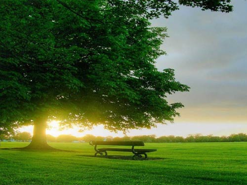 美商婕斯护肤品养肺很重要-美商婕斯(Jeuness