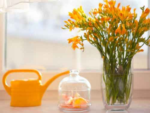 韩国安炫生物肽-韩国安炫(Anxuan)