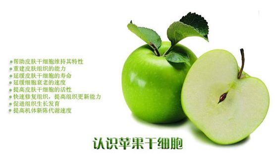 苹果干细胞作用和功效是什么