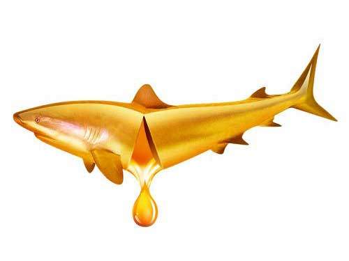 哪些人不能吃深海鱼油?吃深海鱼油的禁忌有哪