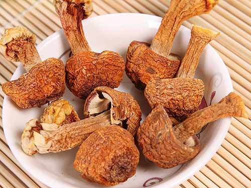 姬松茸和松茸的区别_中国美容美体网