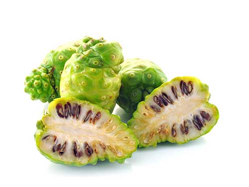 诺丽酵素怎么食用-诺丽果(Noni)-中国美容美体