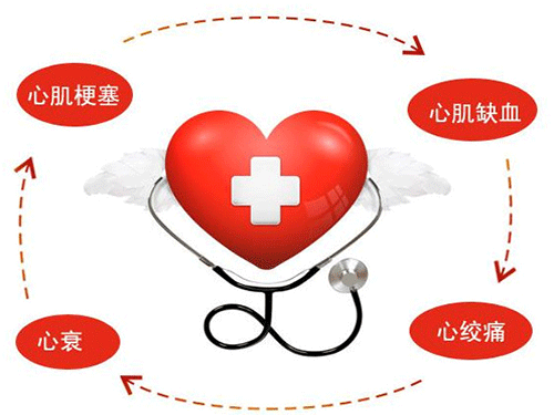 辅酶q10怎么样 可以长期食用吗-辅酶Q10(Q10