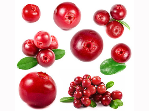 蔓越莓，天然的保健果，还不吃起来