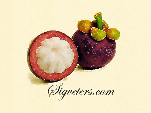 德国双心告诉孕妇吃山竹的好处和食用禁忌-德