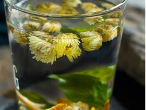 需要减肥茶之功效菊花茶薄荷忌口吗自制康v功效宝莱喝图片