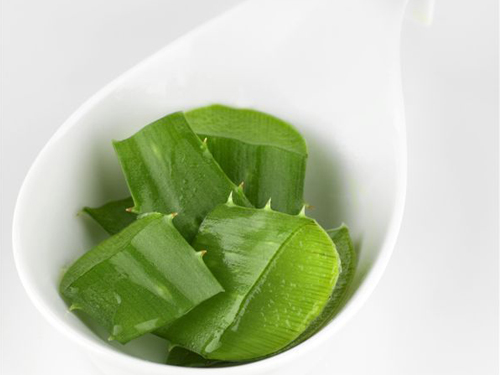 芦荟如何去斑