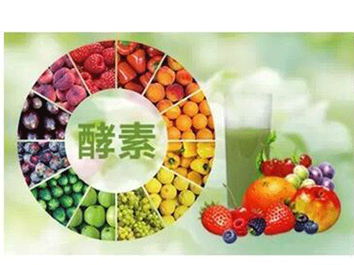 酵素的功效与作用有哪些