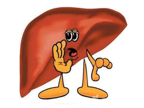 怎么养肝肾 8_2018531151846886_4.gif