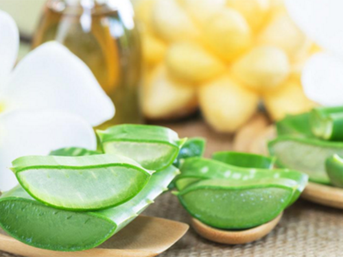 芦荟泡水喝有哪些功效