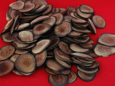 松树茸的用途 8_2018619170506329_4.png