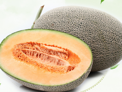 哈密瓜怎么保存时间长