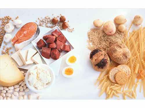 蛋白质食物