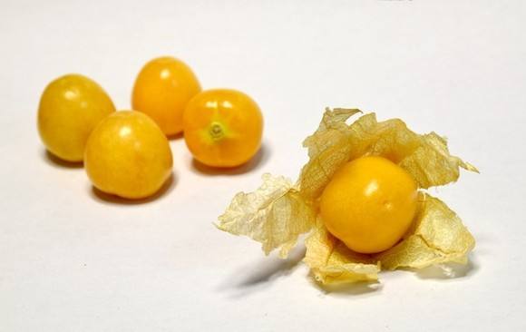 姑娘果的功效与禁忌