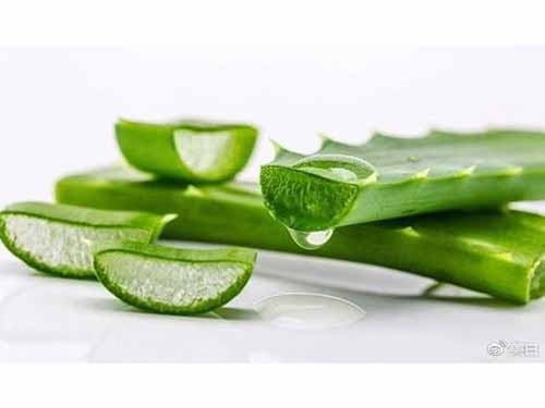 芦荟面膜的制作方法