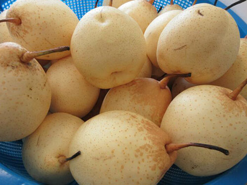 咳嗽不能吃什么水果