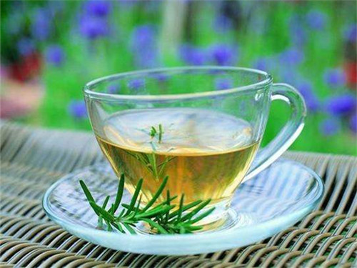 松针茶有减肥功效吗