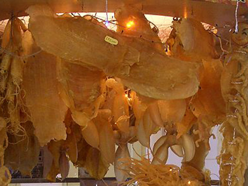 黄花胶的功效与作用值得女性关注