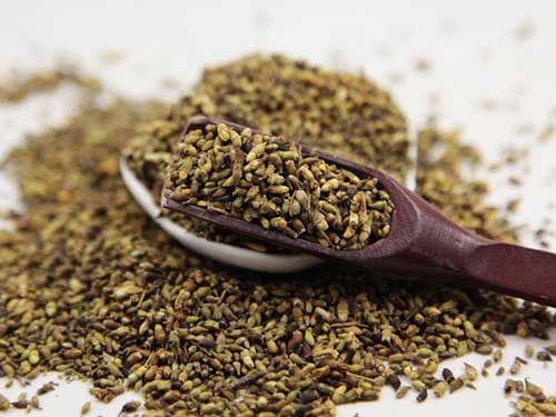 炒槐米的功效与作用