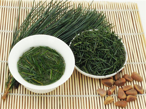 松针茶能减肥吗