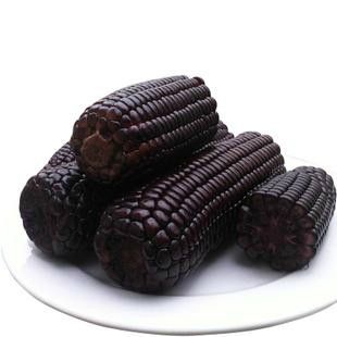 黑玉米的功效与作用