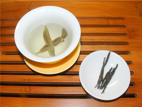 小叶苦丁茶能减肥吗