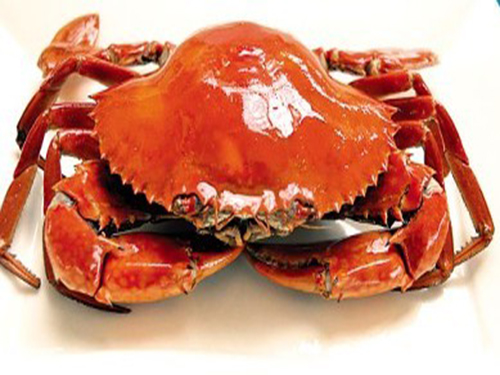 吃完螃蟹不能吃什么