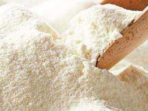 水解蛋白奶粉是什么