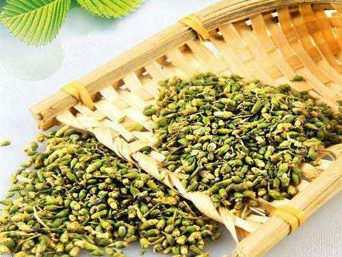 槐米的功效与作用