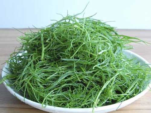 羊栖菜