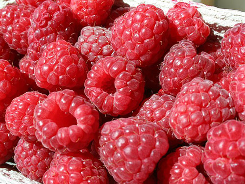 覆盆子是什么功效