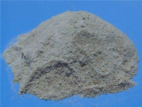 枯草芽孢杆菌粉