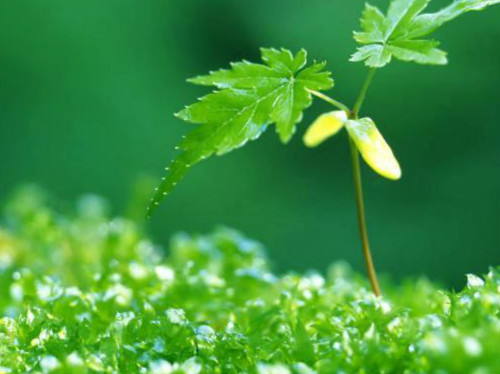 眼睛干痒怎么办