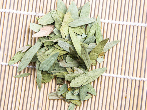 番泻叶可以减肥吗