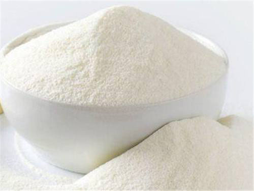 水解蛋白是什么