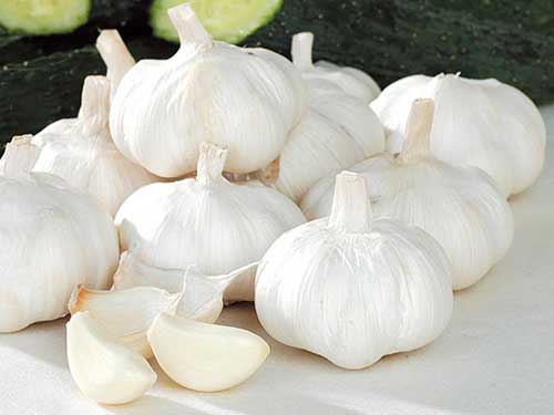 大蒜可以祛斑吗