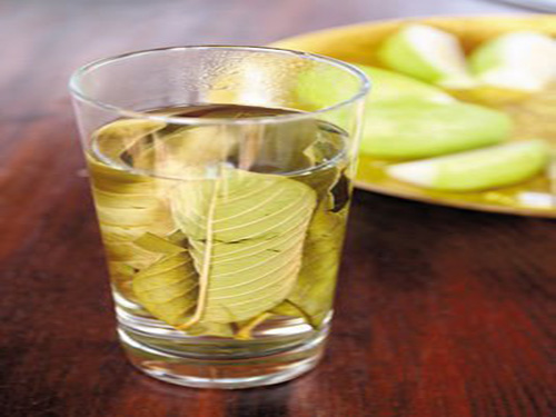 番石榴茶多少钱一斤