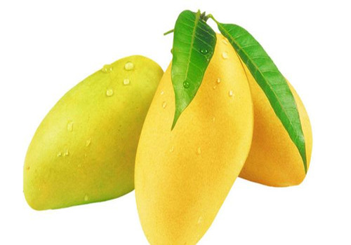 芒果和香蕉哪个热量高