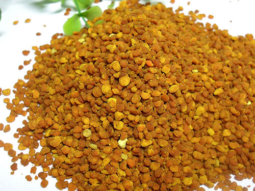 松花花粉的功效与作用