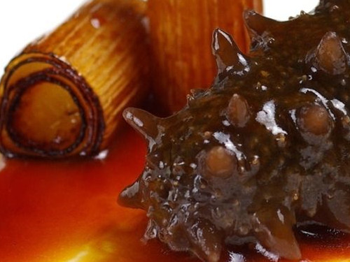 海参不能与什么同食