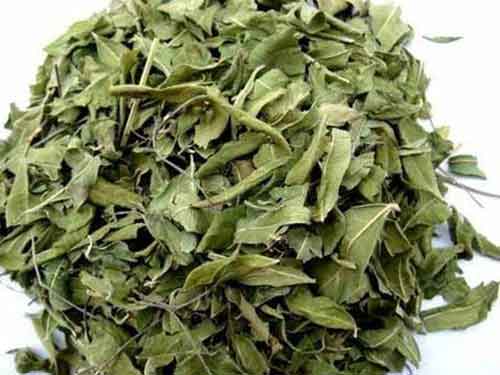 罗布麻片的功效与作用