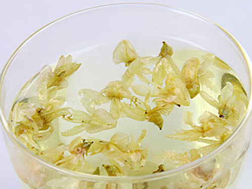 14種【降壓功效茶葉】推薦給你！