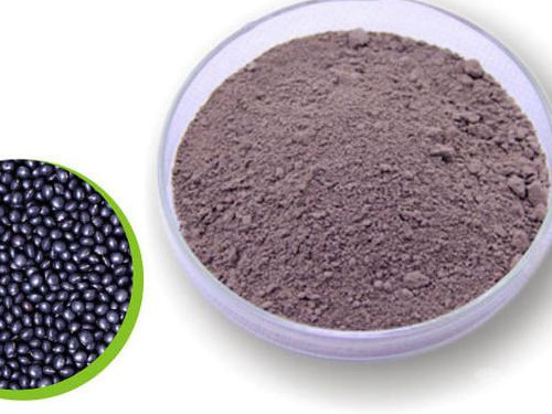 黑豆粉可以促排卵吗